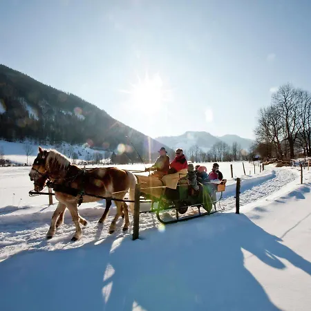 Chalet Steiermark Chalet